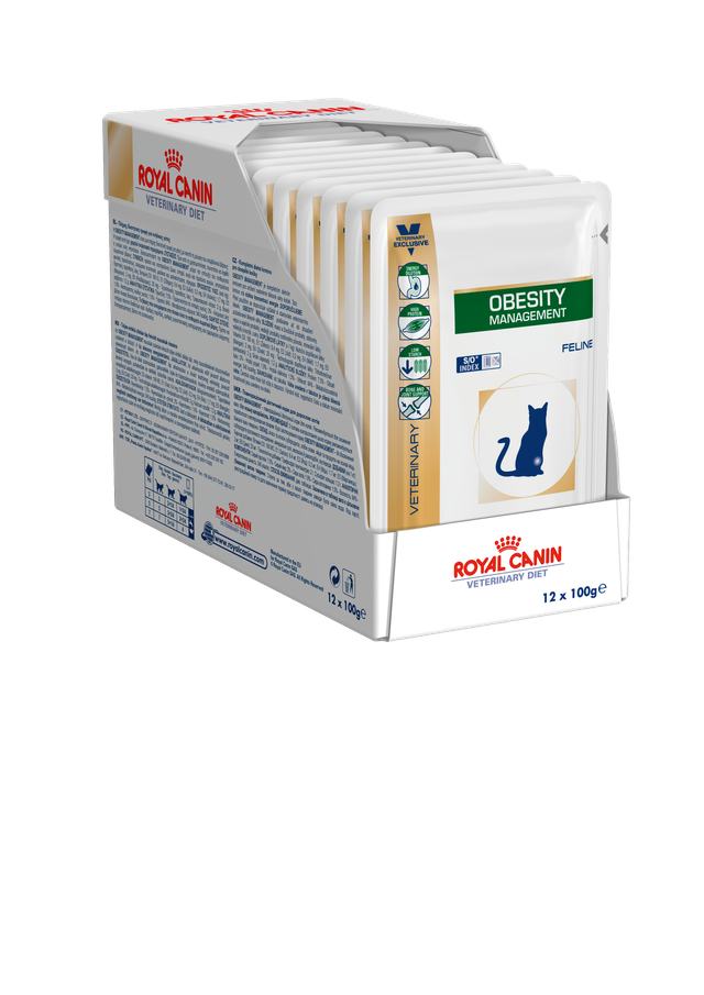 OBESITY CAT WET