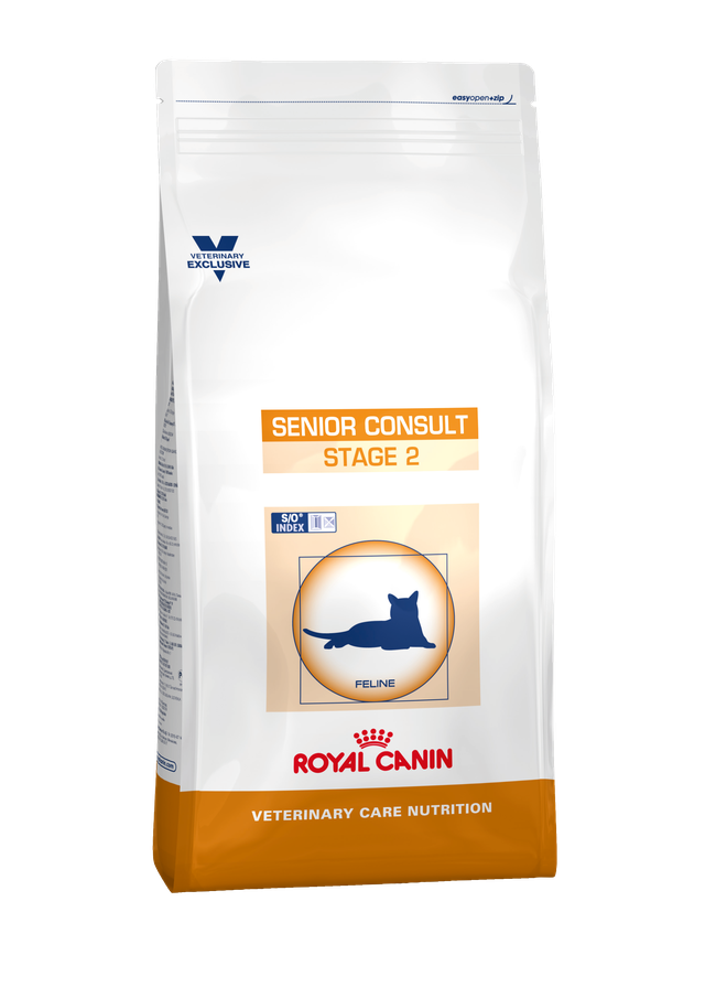 Senior Consult Stage 2 Cat