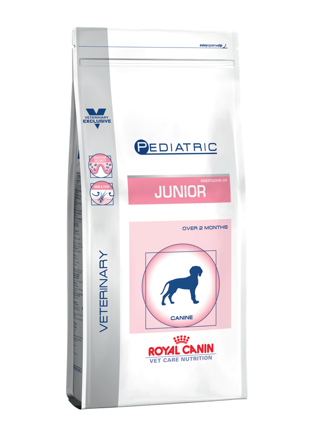 Medium Dog Junior