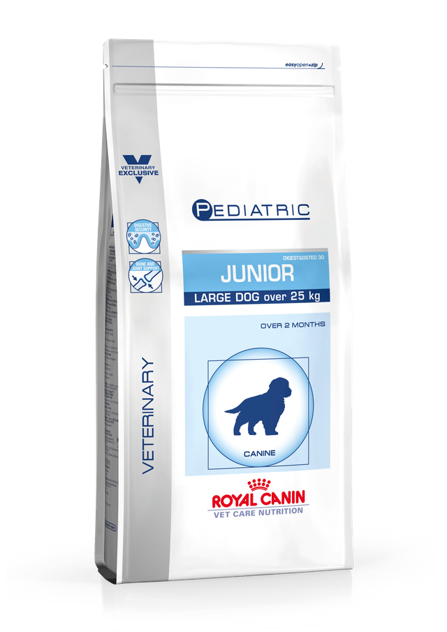 Large Dog Junior