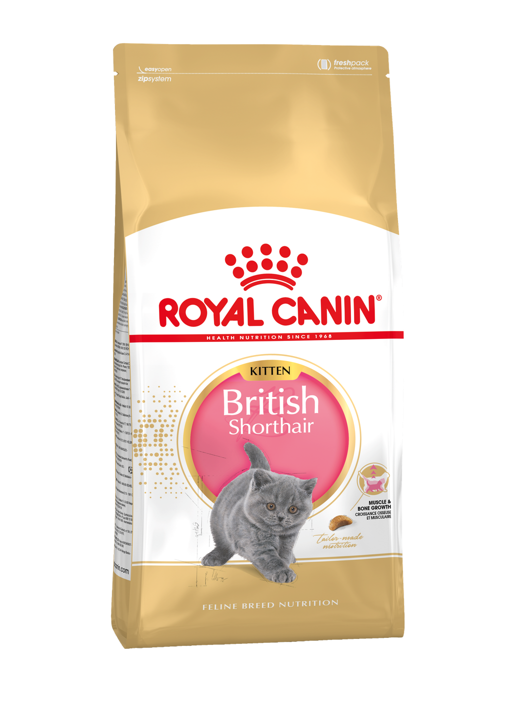 apotheek Helderheid opening KITTEN BRITISH SHORTHAIR: aangepaste voeding voor uw kitten - Voeding -  ROYAL CANIN©