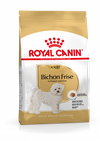 Bichon Frise Adult