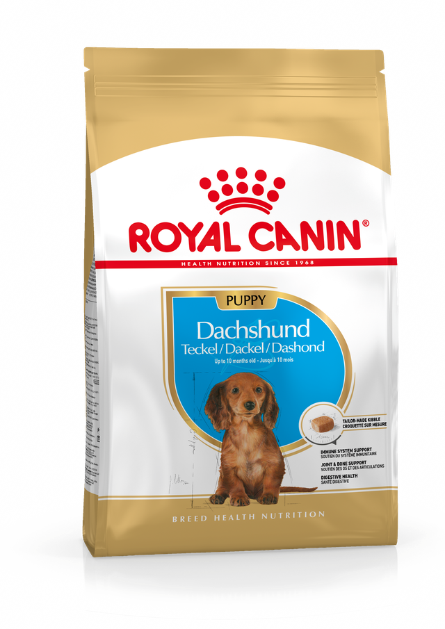 Dachshund Puppy aangepaste voeding voor uw hond Voeding ROYAL CANIN©