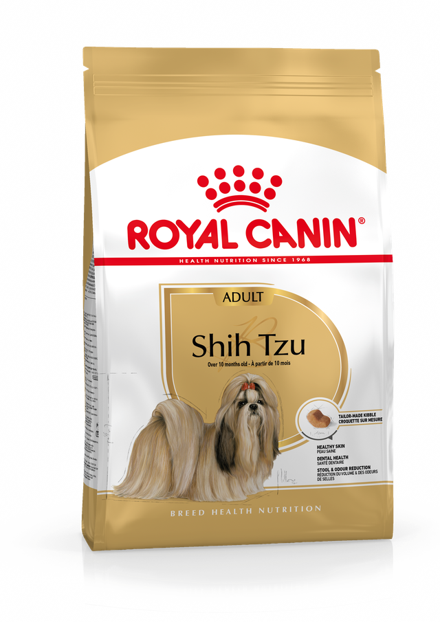 Shih Tzu Adult