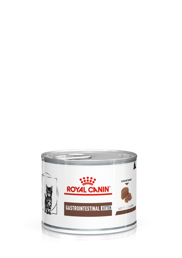 Gastrointestinal Kitten (Wet)