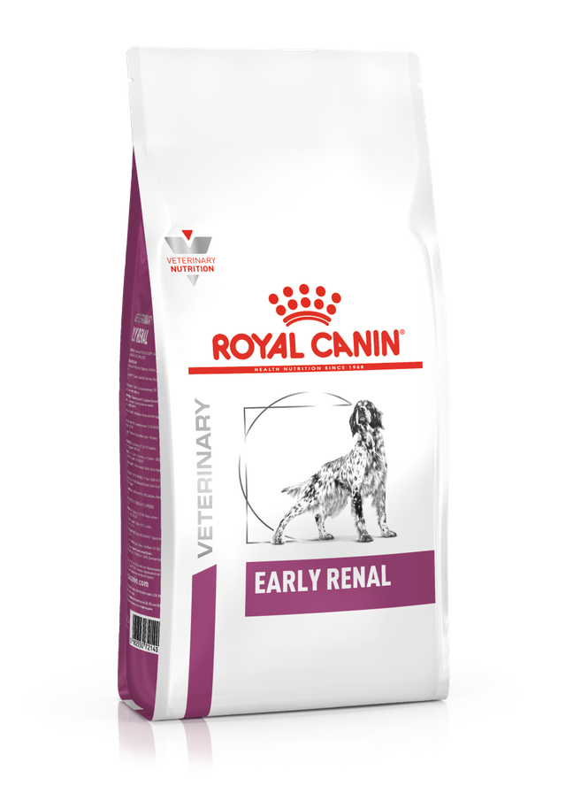 Early Renal Dog