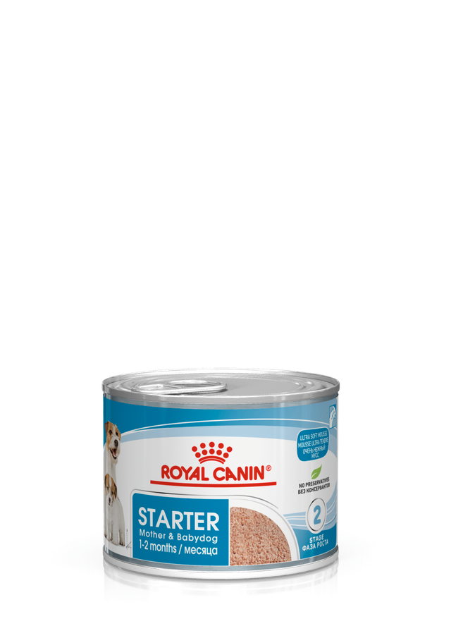 Starter Mousse Mother & Babydog